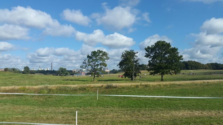 20150829_100914.jpg image