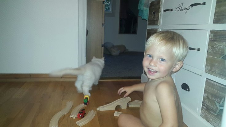 20150831_193442.jpg image