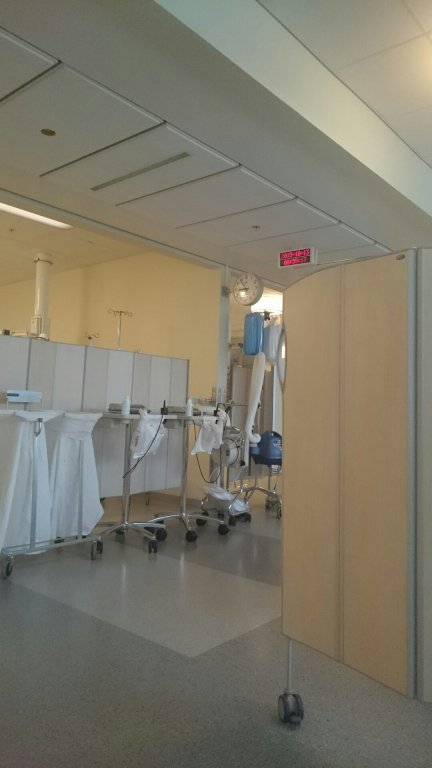 wp-1444731085553 image