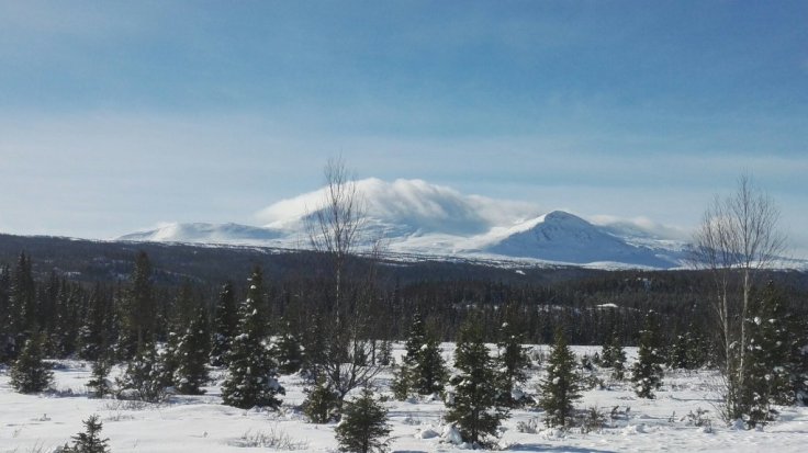 IMG_20160323_135042.jpg image