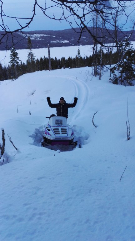 IMG_20160323_183447.jpg image