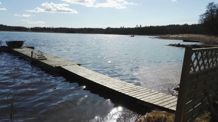 IMG_20160328_150648.jpg image