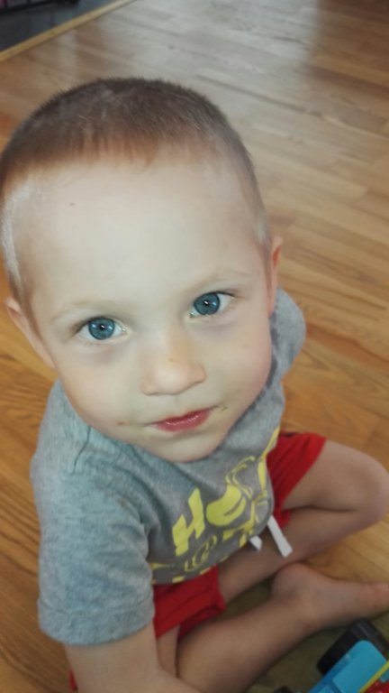 IMG_20160515_154350.jpg image